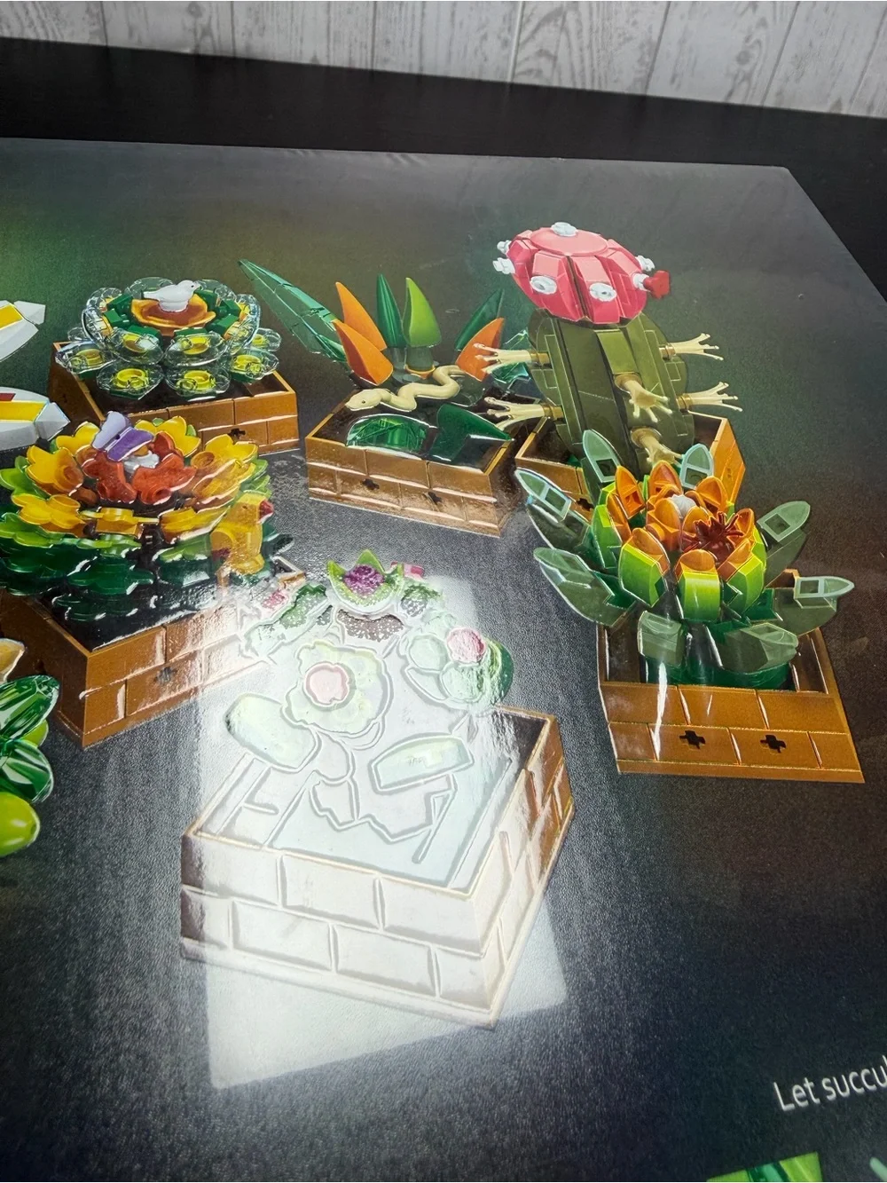 EDUCIRO Botanical Garden Succulents Building Set - Multicolor